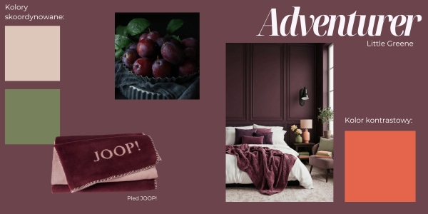 Kolor roku Little Greene Adventurer 2026