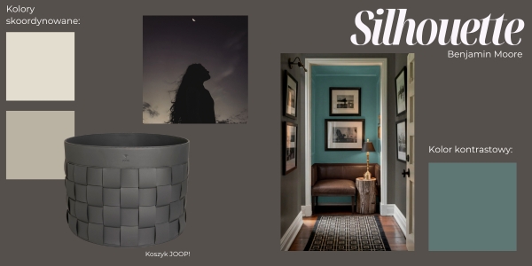 Kolor roku Benjamin Moore Silhouette 2026